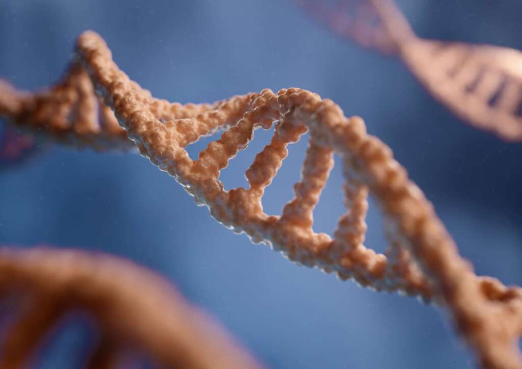 Test per le anomalie cromosomiche: differenze, limiti e vantaggi